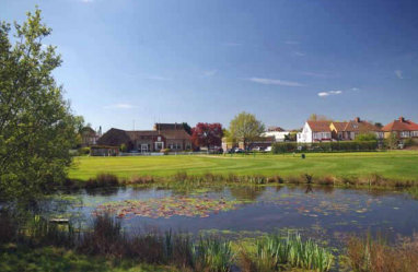 Pond on Chingford Plain E4